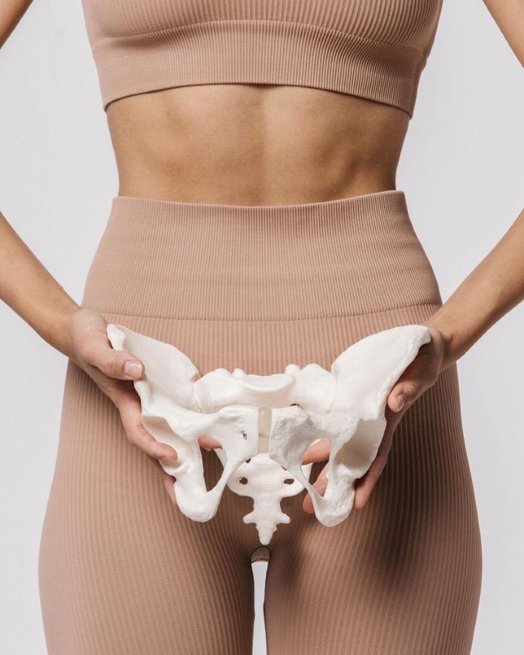 Person hält ein anatomisches Beckenmodell vor den eigenen Körper